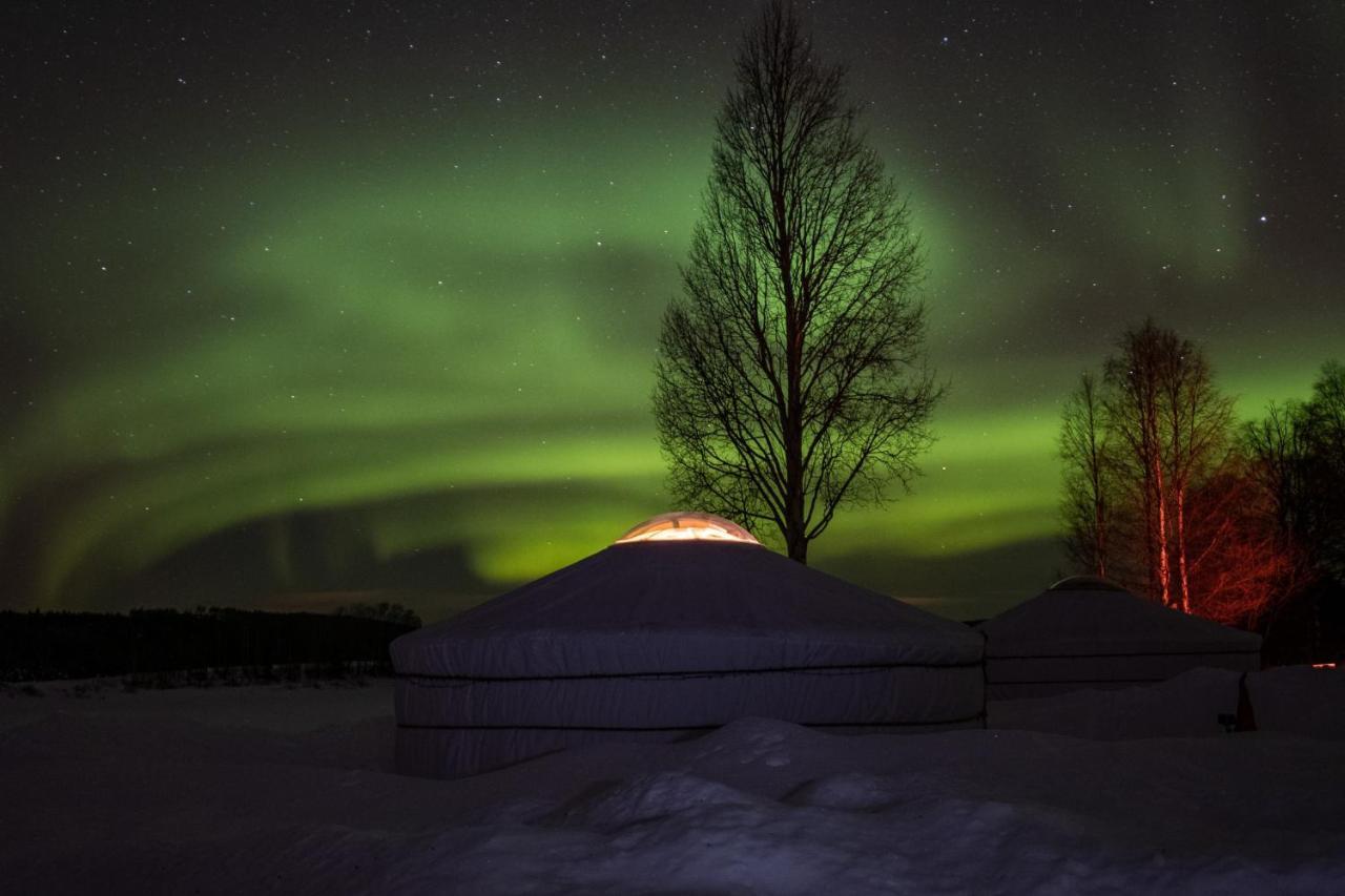 Hotel Yurt District Rovaniemi Exteriér fotografie