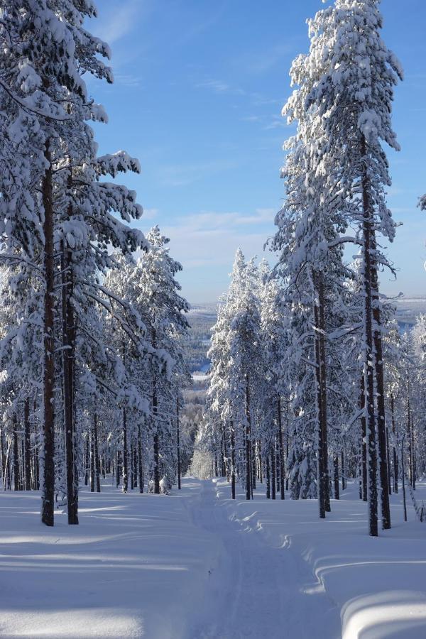 Hotel Yurt District Rovaniemi Exteriér fotografie